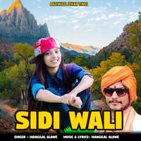 Sidi Wali