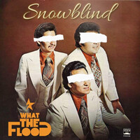 Snowblind