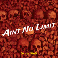 Aint No Limit