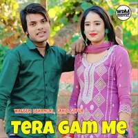 Tera Gam Me