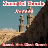 Zama Gul Ghonde Janana
