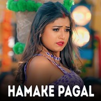 Hamake Pagal