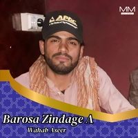 Barosa Zindage A