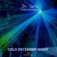 Cold December Night