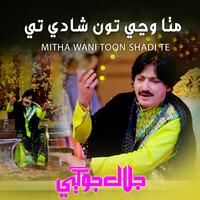 Mitha Wani Toon Shadi Te