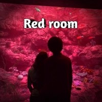 RED ROOM