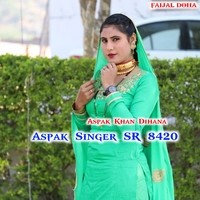 Aspak Singer SR 8420