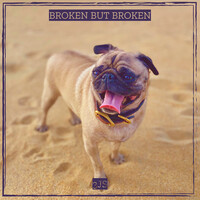 Broken but Broken