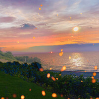 Fireflies on the Sea Bluffs