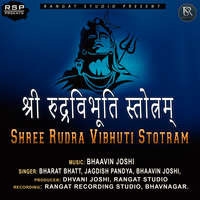 Shree Rudra Vibhuti Stotram