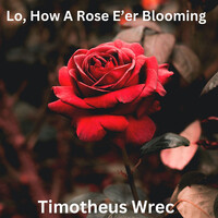 Lo, How a Rose E'er Blooming