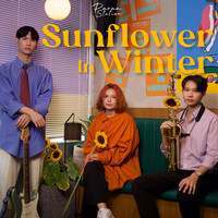 Sunflower in Winter (Acoustic)