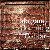 Counting Contare