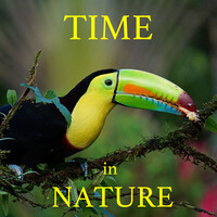 Time in Nature