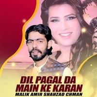 Dil Pagal Da Main Ke Karan