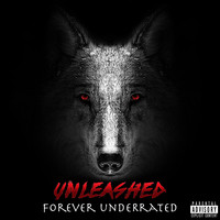 Unleashed: Forever UnderRated