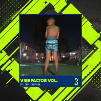 Vibe Factor Vol. 3