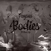 Bodies