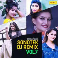 Sonotek DJ Remix Vol 7