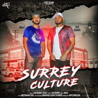 Surrey Culture