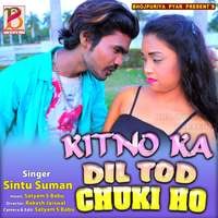 Kitno Ka Dil Tod Chuku Ho - Bareli Bajar Me