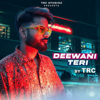 Deewani Teri