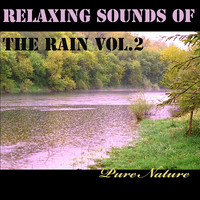 Relaxing Sounds of the Rain, Vol. 2