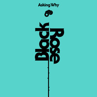 Asking Why
