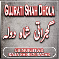 Gujrati Shah Dhola