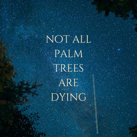 Not All Palm Trees Are Dying