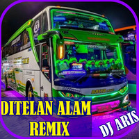 Ditelan Alam (Remix)