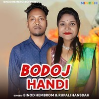 Bodoj Handi