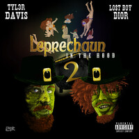 Leprechaun in the Hood 2