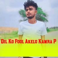 Dil Ko Fool Akelo Kamra P