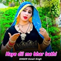 Haye dil me bhar bathi