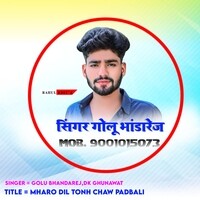 Mharo Dil Tonh Chaw Padbali