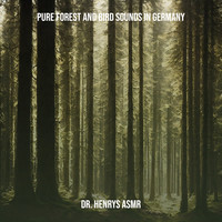 Pure Forest and Bird Sounds in Germany