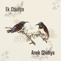 Ek Chidiya Anek Chidiya