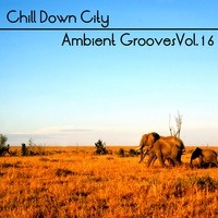 Chill Down City, Ambient Grooves, Vol. 16