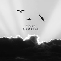 Bird Talk