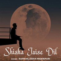 Shisha Jaise Dil