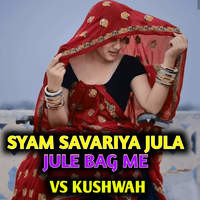 Syam Savariya Jula Jule Bag Me