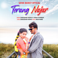 Terang Najar