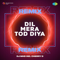 Dil Mera Tod Diya Remix