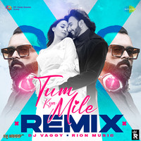 Tum Kya Mile - Remix