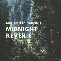 Midnight Reverie