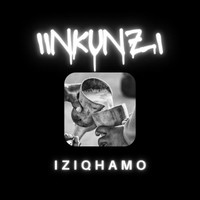 Iziqhamo