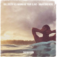 Bulldozer vs I Wanna Be Your Slave - Amarcord Vers.