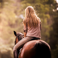 Horseback Ride