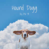 Hound Dogg